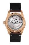 Omega | SEAMASTER 300 41 MM, BRONZE GOLD SU PELLE - 234.92.41.21.10.001 (2)
