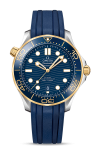Omega | SEAMASTER DIVER 300M 42 MM, ACCIAIO-ORO GIALLO SU CAUCCI&Ugrave; - 210.22.42.20.03.001 (1)