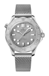 Omega | SEAMASTER DIVER 300M 42 MM, ACCIAIO SU ACCIAIO - 210.30.42.20.06.002 (1)