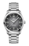 Omega | SEAMASTER RAILMASTER 38 MM, ACCIAIO SU ACCIAIO - 235.10.38.20.06.001 (1)