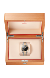 Omega | SEAMASTER AQUA TERRA 150M 41 MM, ACCIAIO-ORO MOONSHINE&trade; SU ACCIAIO-ORO MOONSHINE&trade; - 220.20.41.21.01.001 (4)