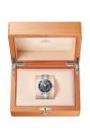 Omega | SEAMASTER PLANET OCEAN 600M 42 MM, ACCIAIO SU ACCIAIO - 217.30.42.21.01.001 (3)