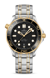 Omega | SEAMASTER DIVER 300M 42 MM, ACCIAIO-ORO GIALLO SU ACCIAIO-ORO GIALLO - 210.20.42.20.01.002 (1)