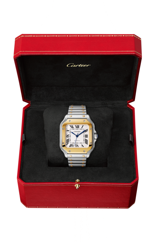 Accedi al prodotto correlato Cartier SANTOS DE CARTIER, MODELLO MEDIO, ACCIAIO, ORO GIALLO, AUTOMATICO - W2SA0016