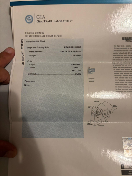 Accedi alla scheda di Bartorelli Italian Jewels ORECCHINI PENDENTI IN ORO BIANCO CON DIAMANTI FANCY YELLOW E DIAMANTI BIANCHI - F.295D