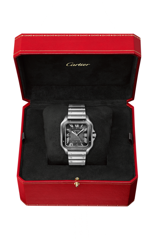 Accedi al prodotto correlato Cartier SANTOS DE CARTIER, MODELLO GRANDE, ACCIAIO, AUTOMATICO - WSSA0037