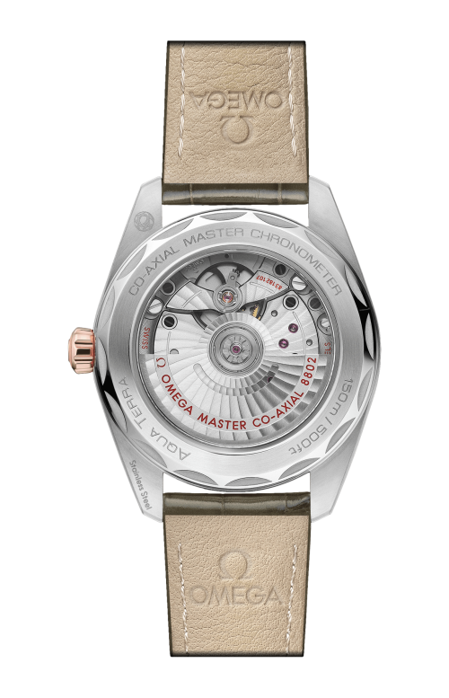 Accedi alla scheda di Omega SEAMASTER AQUA TERRA 150M 38 MM, ACCIAIO-ORO SEDNA&trade; SU PELLE - 220.23.38.20.60.001