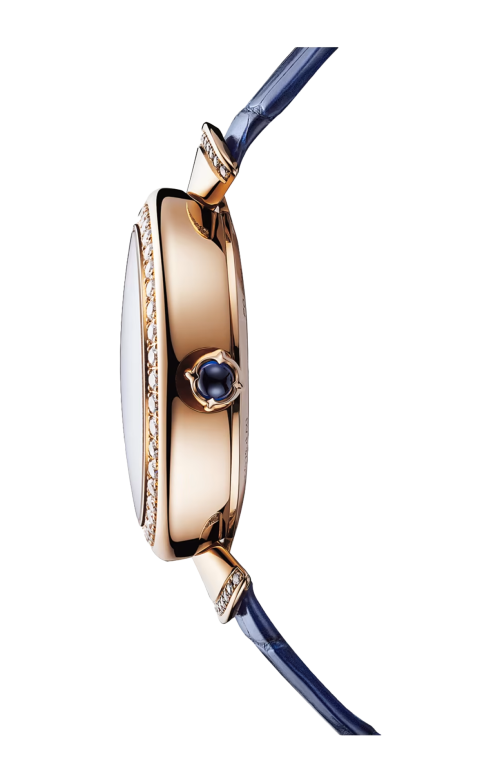 Accedi alla scheda di Bulgari DIVA'S DREAM - DVP37AGDLR/7