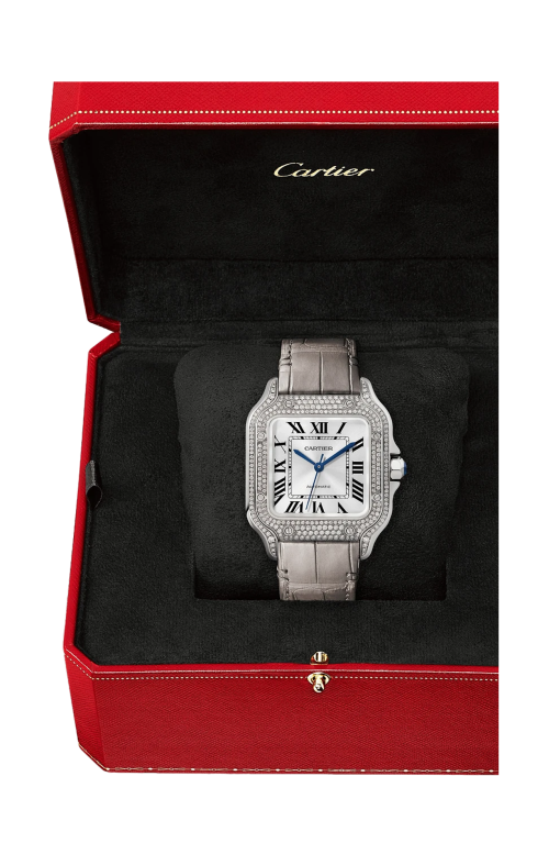 Accedi alla scheda di Cartier SANTOS DE CARTIER MODELLO, MEDIO, ORO BIANCO, DIAMANTI, AUTOMATICO - WJSA0014