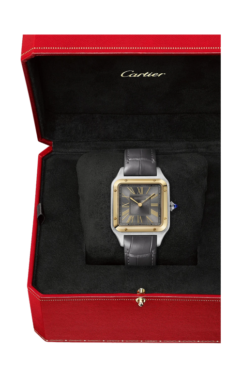 Accedi alla scheda di Cartier SANTOS-DUMONT, MODELLO GRANDE, ACCIAIO, ORO GIALLO, QUARZO - W2SA0036