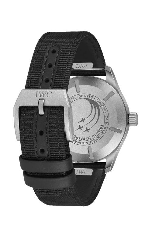 Accedi alla scheda di Iwc Schaffhausen PILOT'S WATCH MARK XX PATROUILLE SUISSE - LIMITED EDITION - IW328209