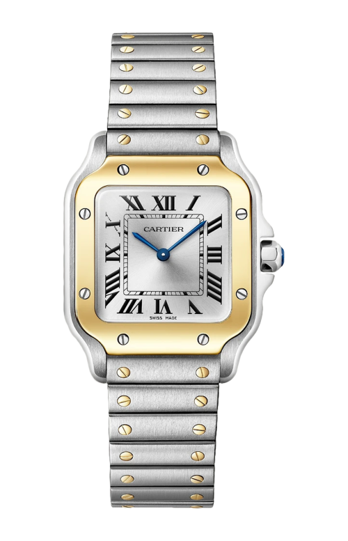 Accedi al prodotto correlato Cartier SANTOS DE CARTIER MODELLO PICCOLO, ACCIAIO E ORO GIALLO, QUARZO - W2SA0033