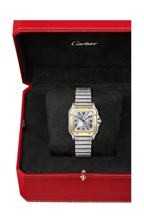 Accedi al prodotto correlato Cartier SANTOS DE CARTIER MODELLO PICCOLO, ACCIAIO E ORO GIALLO, QUARZO - W2SA0033