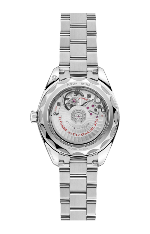 Accedi al prodotto correlato Omega SEAMASTER AQUA TERRA 150M 30 MM, ACCIAIO SU ACCIAIO - 220.10.30.20.01.001