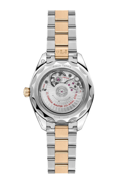 Accedi alla scheda di Omega SEAMASTER AQUA TERRA 150M 30 MM, ACCIAIO-ORO MOONSHINE&trade; SU ACCIAIO-ORO MOONSHINE&trade; - 220.25.30.20.55.001