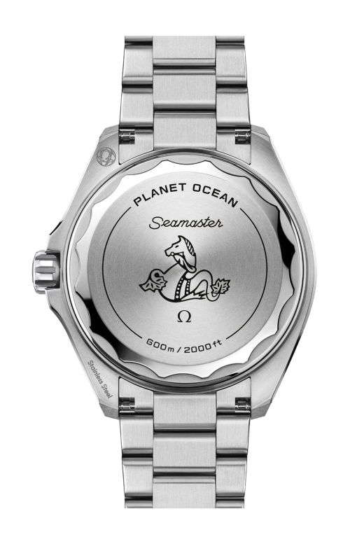 Accedi alla scheda di Omega SEAMSTER PLANET OCEAN 600M 42 MM, ACCIAIO SU ACCIAIO - 217.30.42.21.01.002