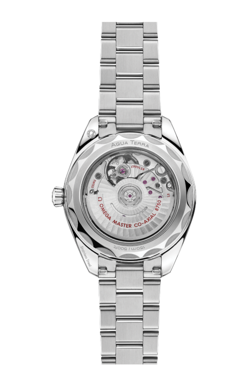 Accedi alla scheda di Omega SEAMASTER AQUA TERRA 150M 30 MM, ACCIAIO SU ACCIAIO - 220.10.30.20.55.001