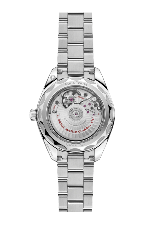 Accedi alla scheda di Omega SEAMASTER AQUA TERRA 150M30 MM, ACCIAIO SU ACCIAIO - 220.10.30.20.60.001