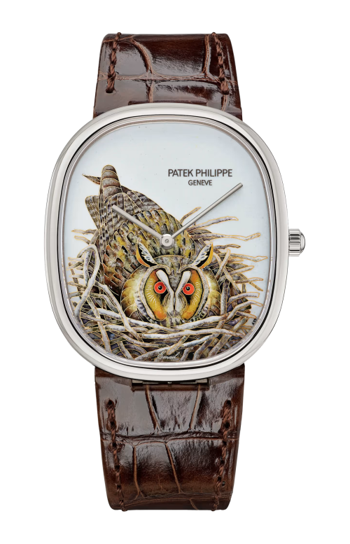 Accedi alla scheda di Patek Philippe RARE HANDCRAFTS GUFO BRUNO, AUTOMATICO - LIMITED EDITION - 5738/50G-049