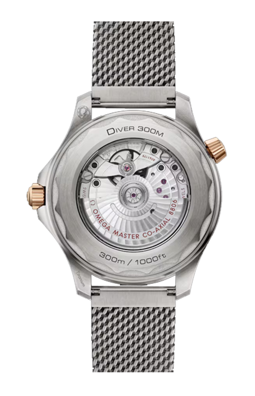 Accedi al prodotto correlato Omega SEAMASTER DIVER 300M 42 MM, TITANIO‑BRONZE GOLD SU TITANIO - 210.90.42.20.10.001