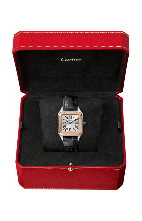 Accedi al prodotto correlato Cartier SANTOS-DUMONT, MODELLO PICCOLO, ORO ROSA E ACCIAIO, QUADRATO - W2SA0038