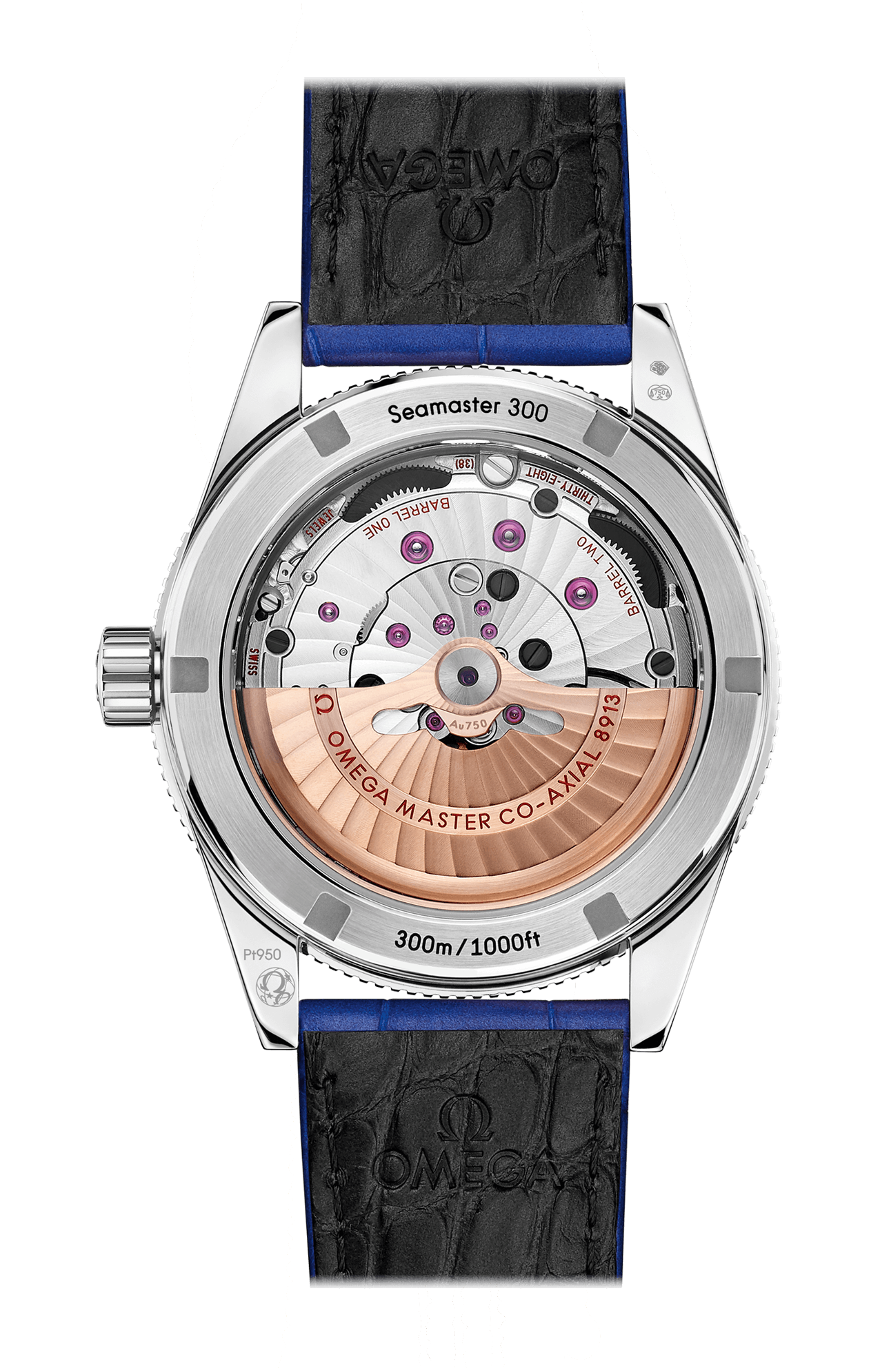 Omega | SEAMASTER 300 41 MM, PLATINO SU PELLE - 234.93.41.21.99.002 (2)