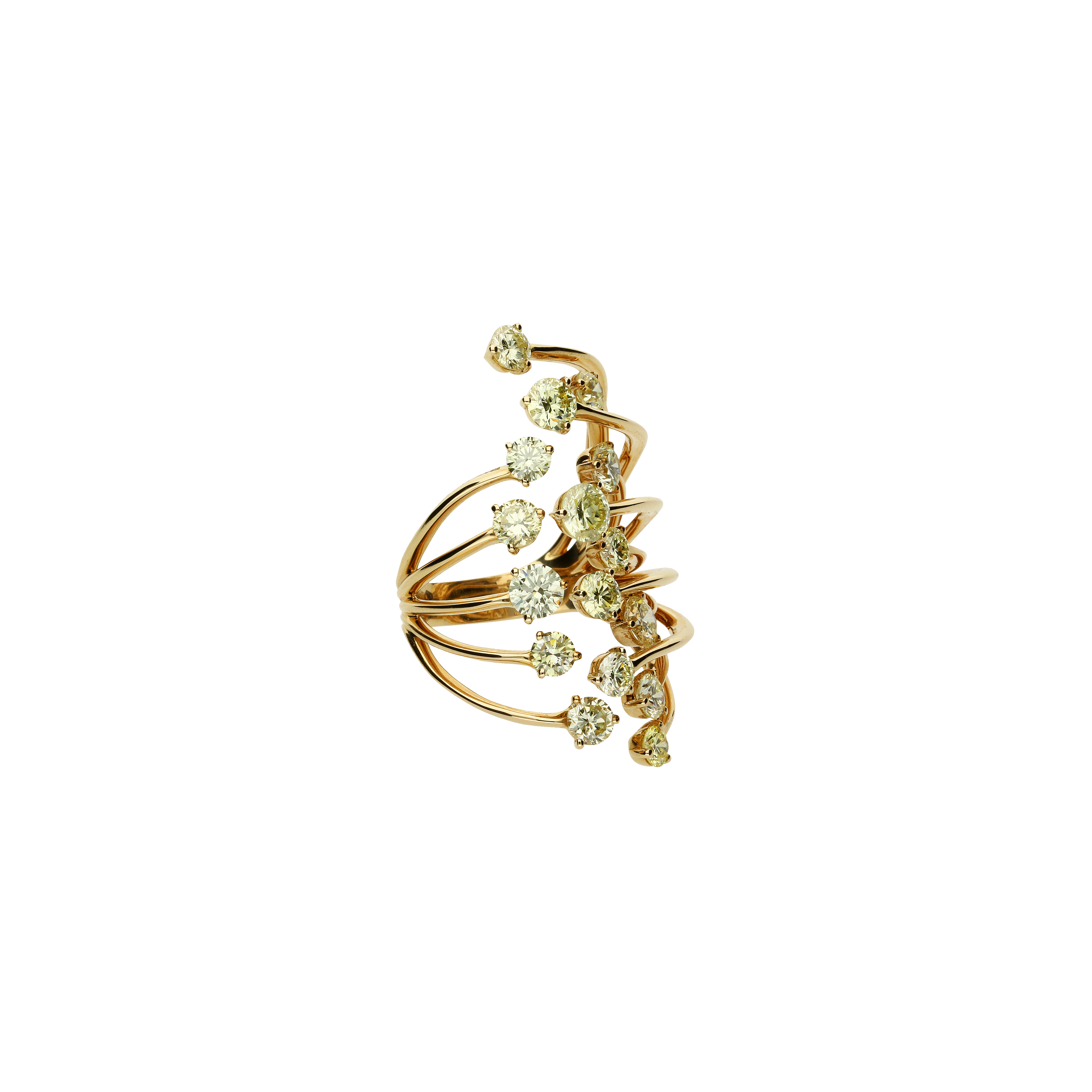 Bartorelli Italian Jewels | ANELLO RAMI - 3R00054DFYP (2)