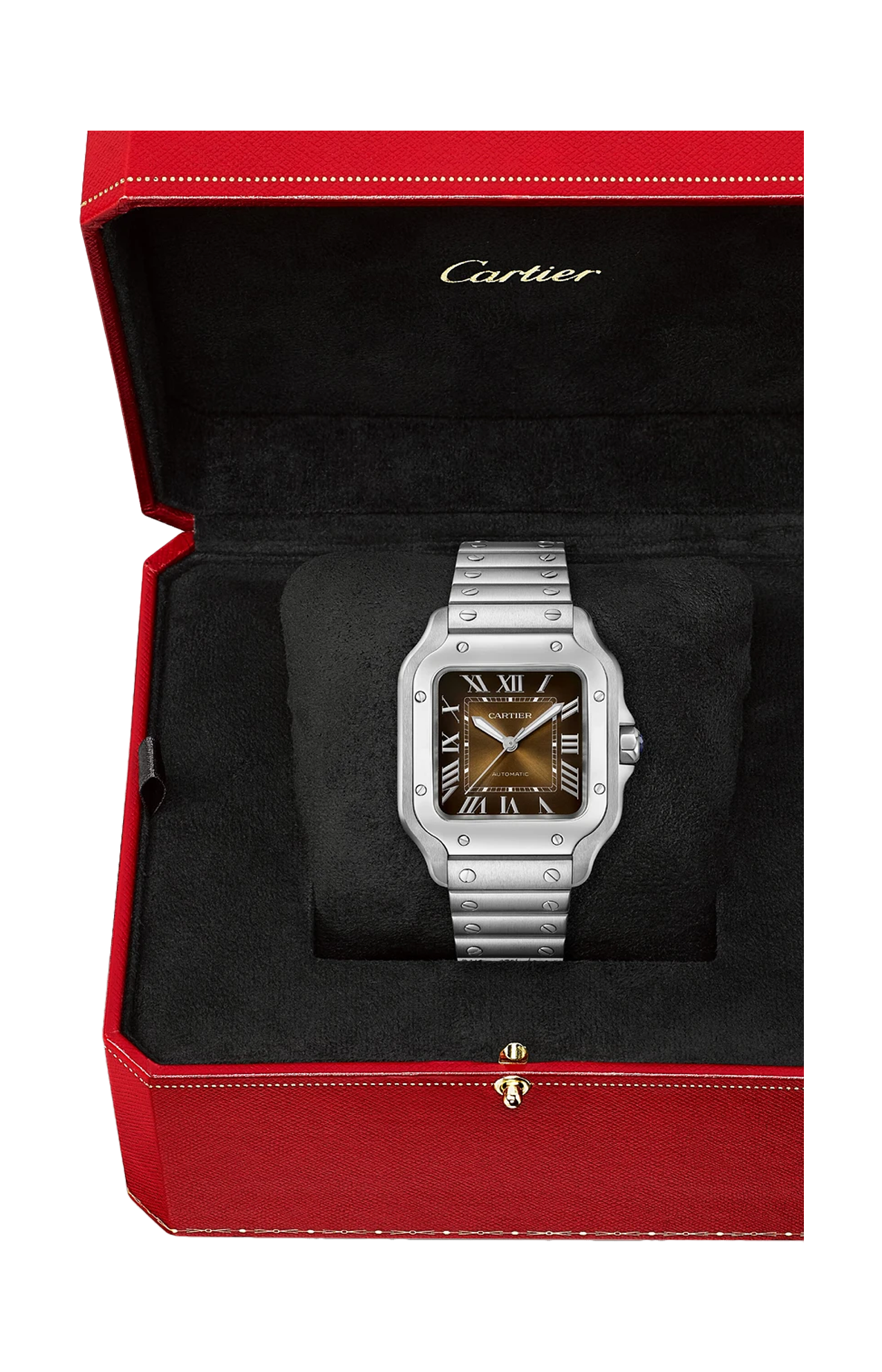 Cartier | SANTOS DE CARTIER, MODELLO MEDIO, ACCIAIO, AUTOMATICO - WSSA0065 (4)
