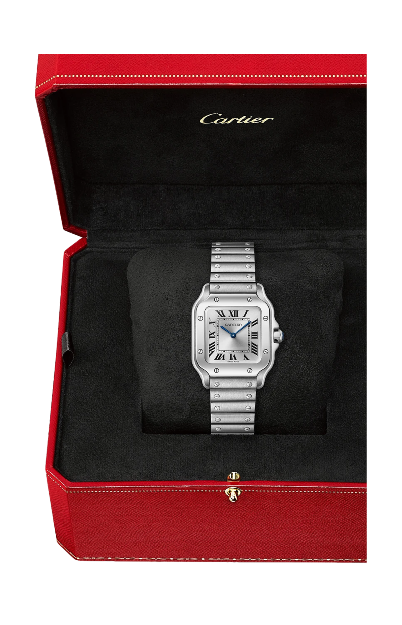 Cartier | SANTOS DE CARTIER MODELLO PICCOLO, ACCIAIO, QUARZO - WSSA0082 (5)