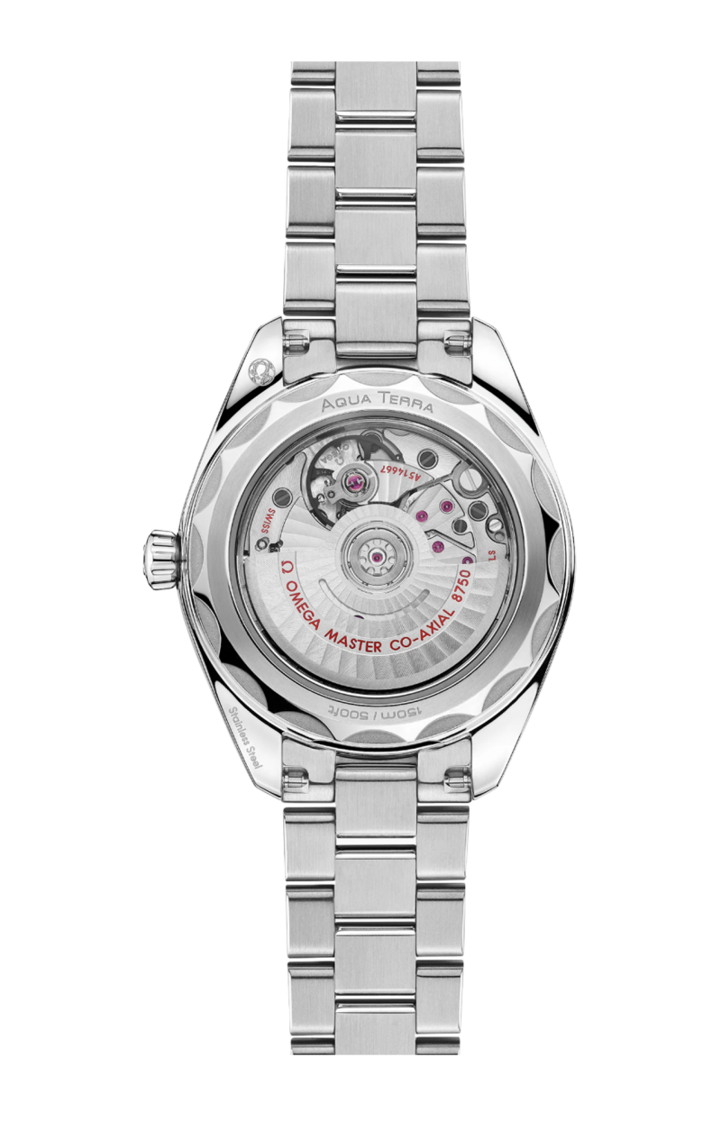 Omega | SEAMASTER AQUA TERRA 150M 30 MM, ACCIAIO SU ACCIAIO - 220.10.30.20.02.001 (2)