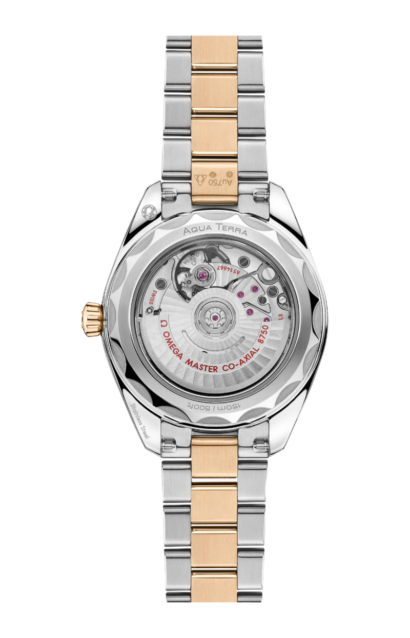 Omega | SEAMASTER AQUA TERRA 150M 30 MM, ACCIAIO-ORO MOONSHINE&trade; SU ACCIAIO-ORO MOONSHINE&trade; - 220.20.30.20.02.001 (2)