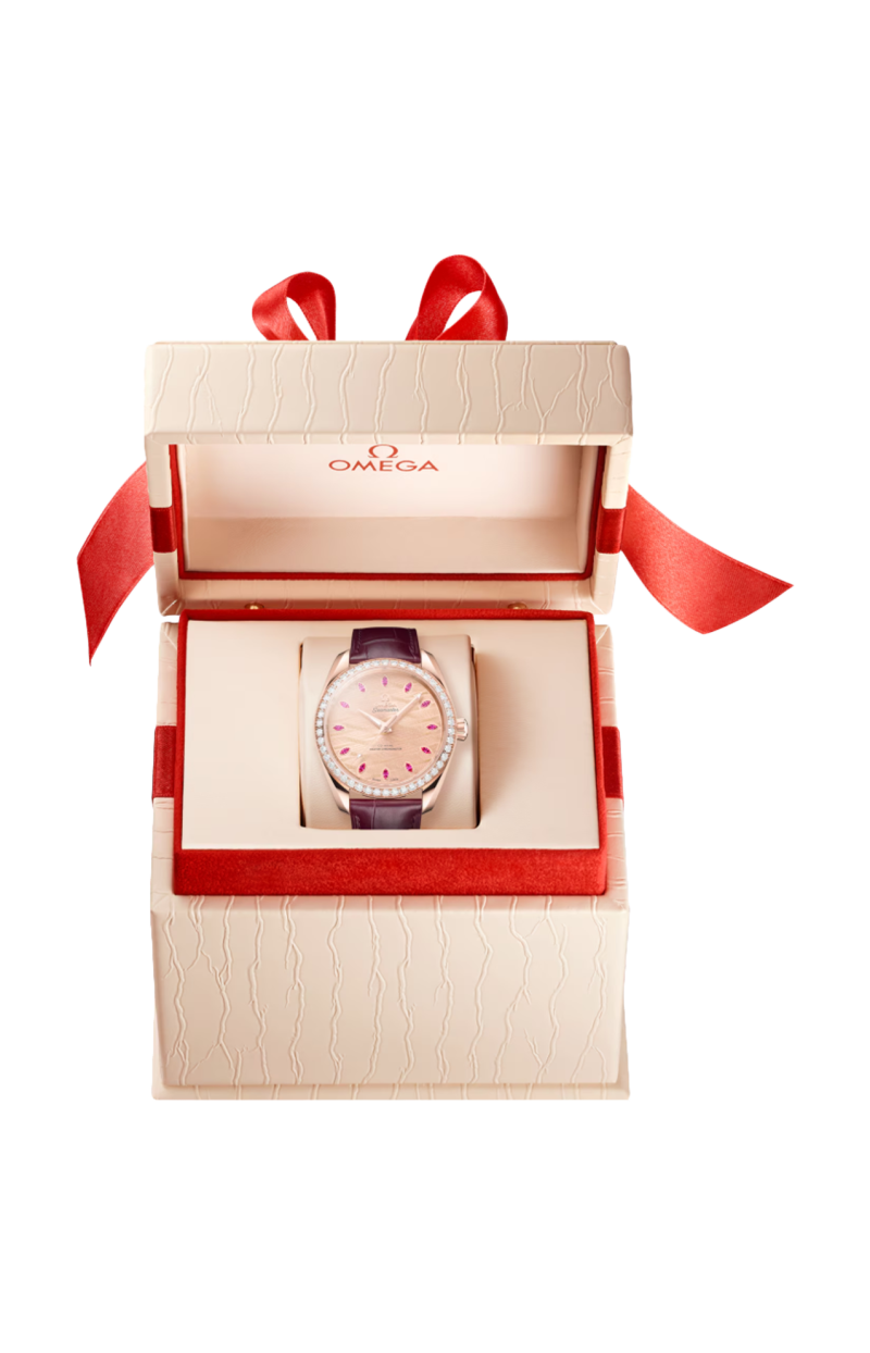 Omega | SEAMASTER AQUA TERRA 150M 38 MM, ORO SEDNA&trade; SU PELLE - 220.58.38.20.99.007 (3)