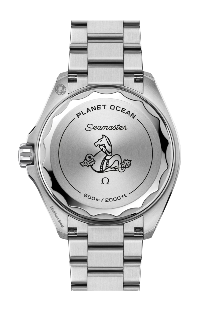Omega | SEAMSTER PLANET OCEAN 600M 42 MM, ACCIAIO SU ACCIAIO - 217.30.42.21.01.002 (2)