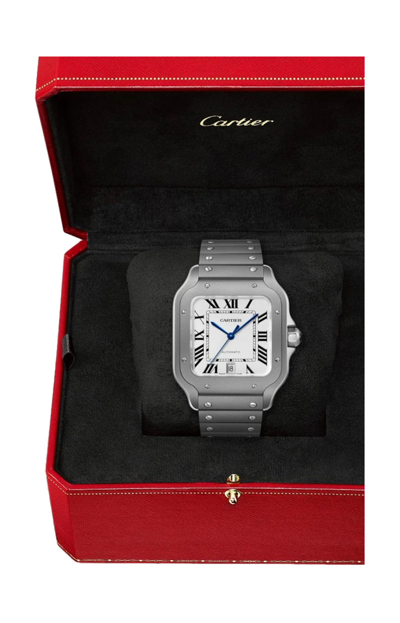 Cartier | SANTOS DE CARTIER MODELLO GRANDE, TITANIO, AUTOMATICO - WSSA0089 (3)