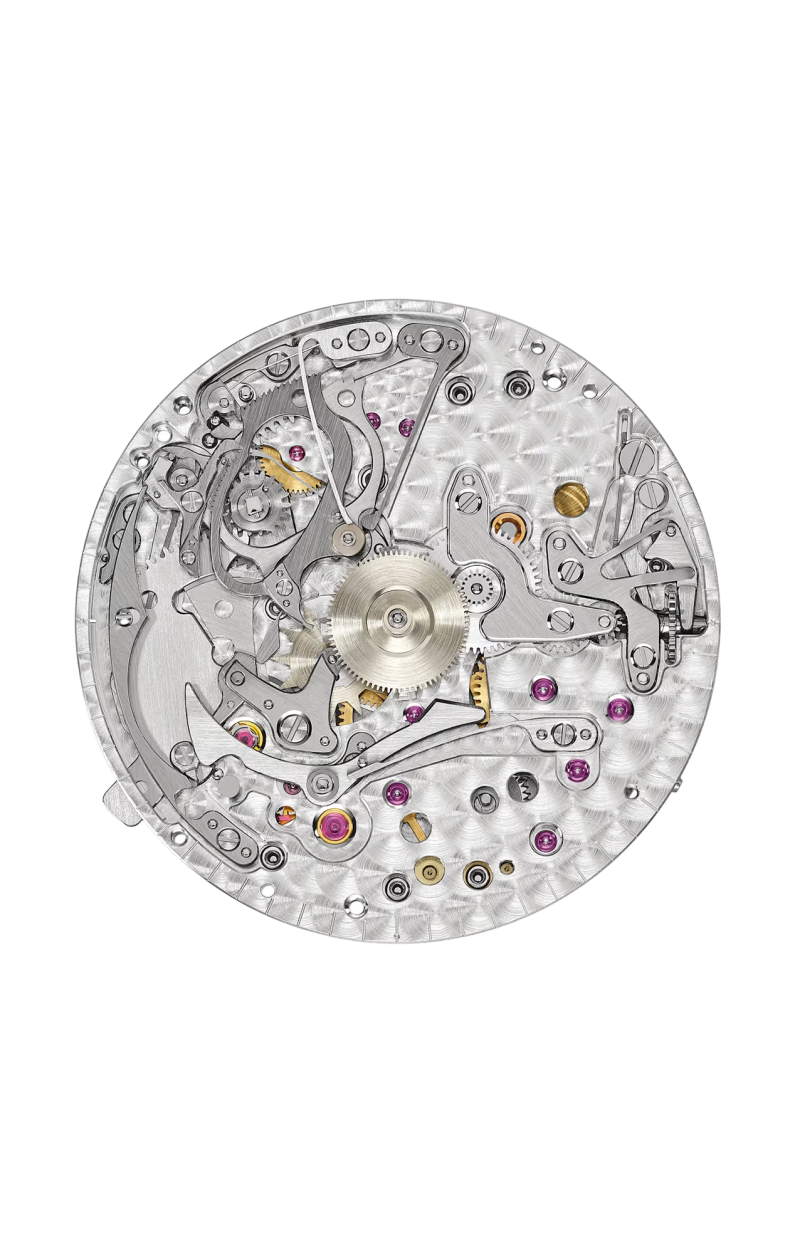 Patek Philippe | GRANDI COMPLICAZIONI RIPETIZIONE MINUTI, CARICA AUTOMATICA -  7047G-001 (5)
