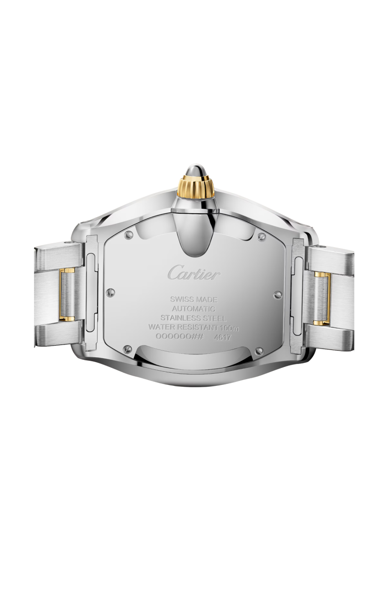Cartier | ROADSTER MODELLO GRANDE, ORO GIALLO, ACCIAIO, AUTOMATICO - W2RD0010 (2)