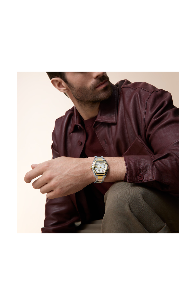 Cartier | ROADSTER MODELLO GRANDE, ORO GIALLO, ACCIAIO, AUTOMATICO - W2RD0010 (8)