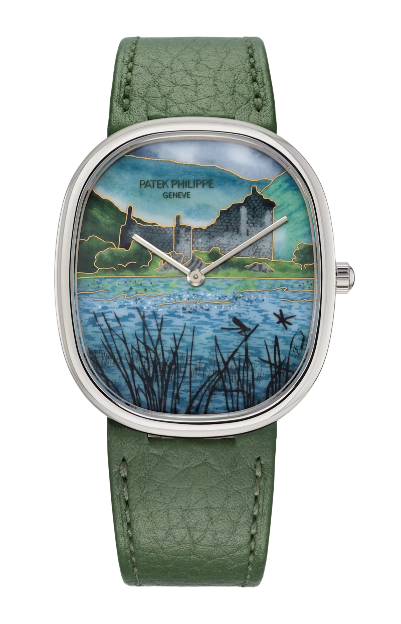 Patek Philippe | RARE HANDCRAFTS CITTADELLA DELLE HIGHLAND, AUTOMATICO - LIMITED EDITION - 5738/50G-043 (1)