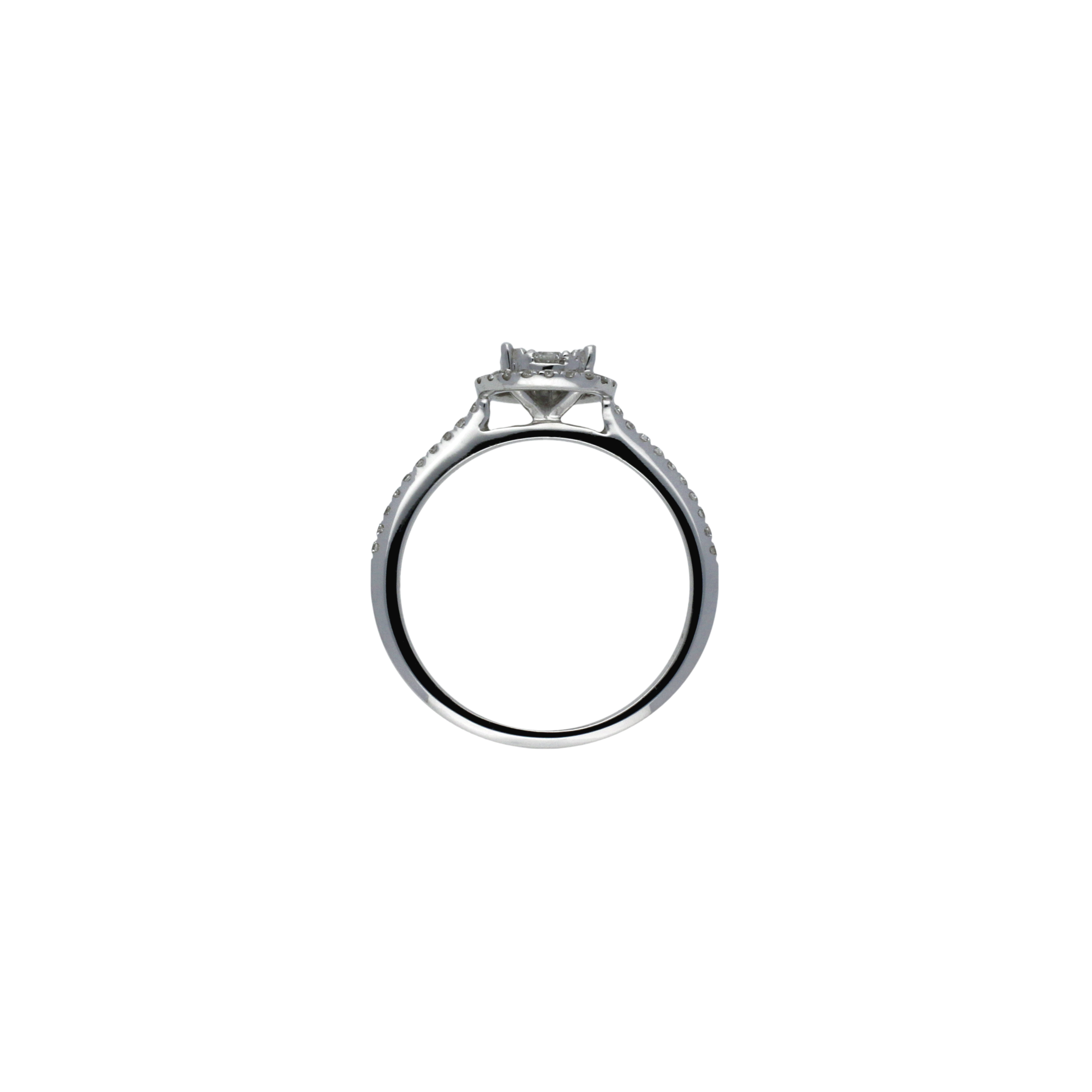 Bartorelli Italian Jewels | Anello in oro bianco 18 carati e diamanti bianchi taglio brillante - MR92229D- (3)