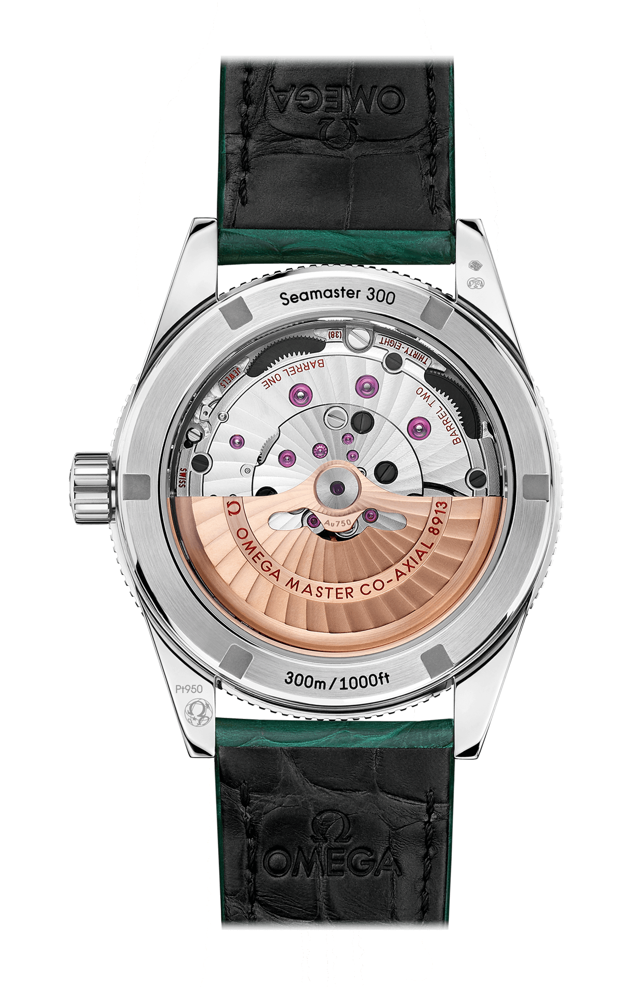 Omega | SEAMASTER 300 41 MM, PLATINO SU PELLE - 234.93.41.21.99.001 (2)